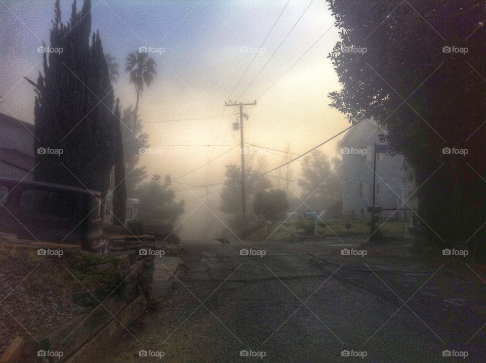 High angle view of foggy road