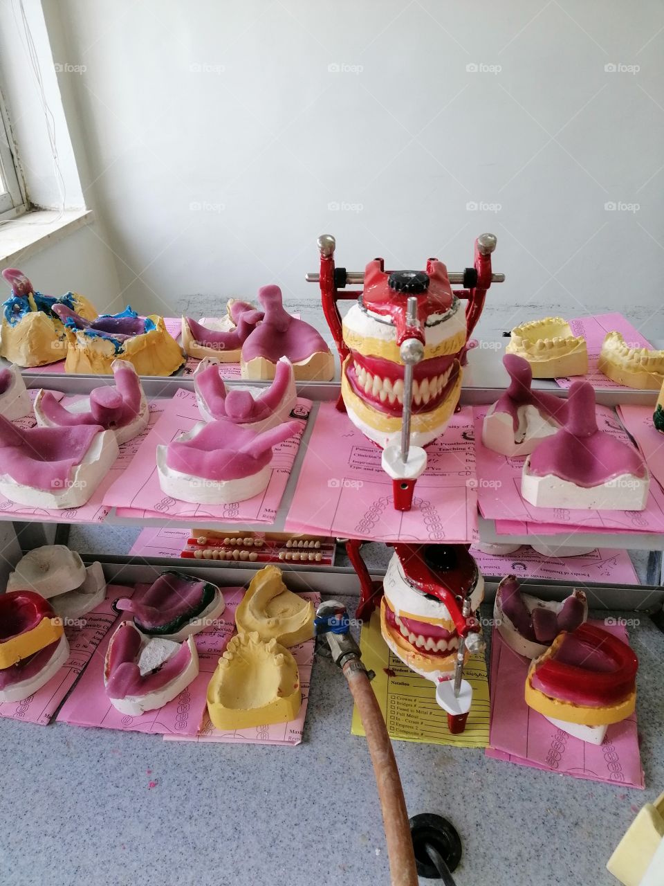 Dental laboratory