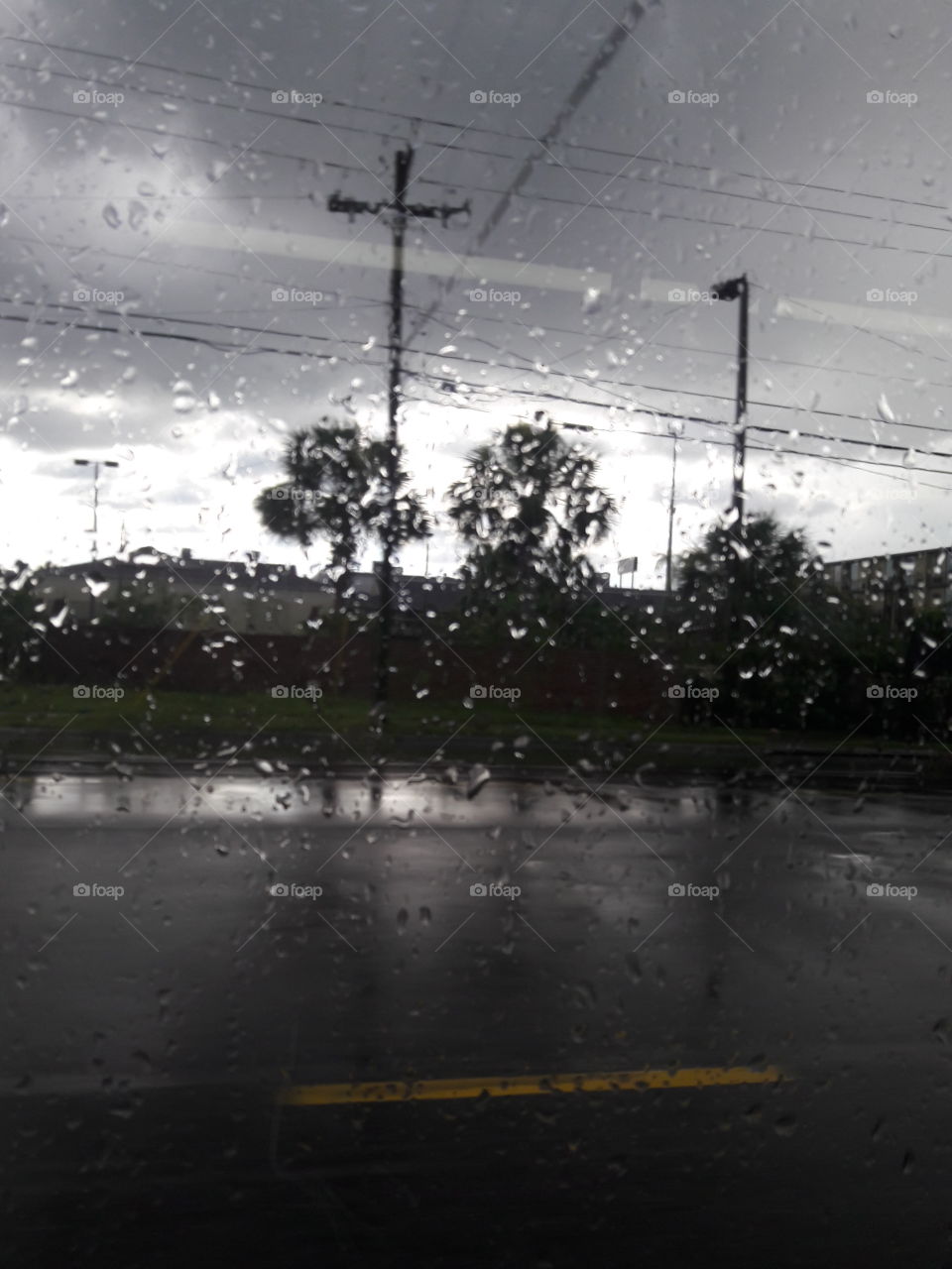 rain in car window