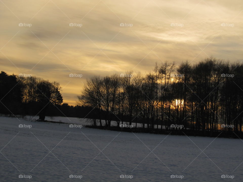 Landscape, Dawn, Tree, Sunset, No Person