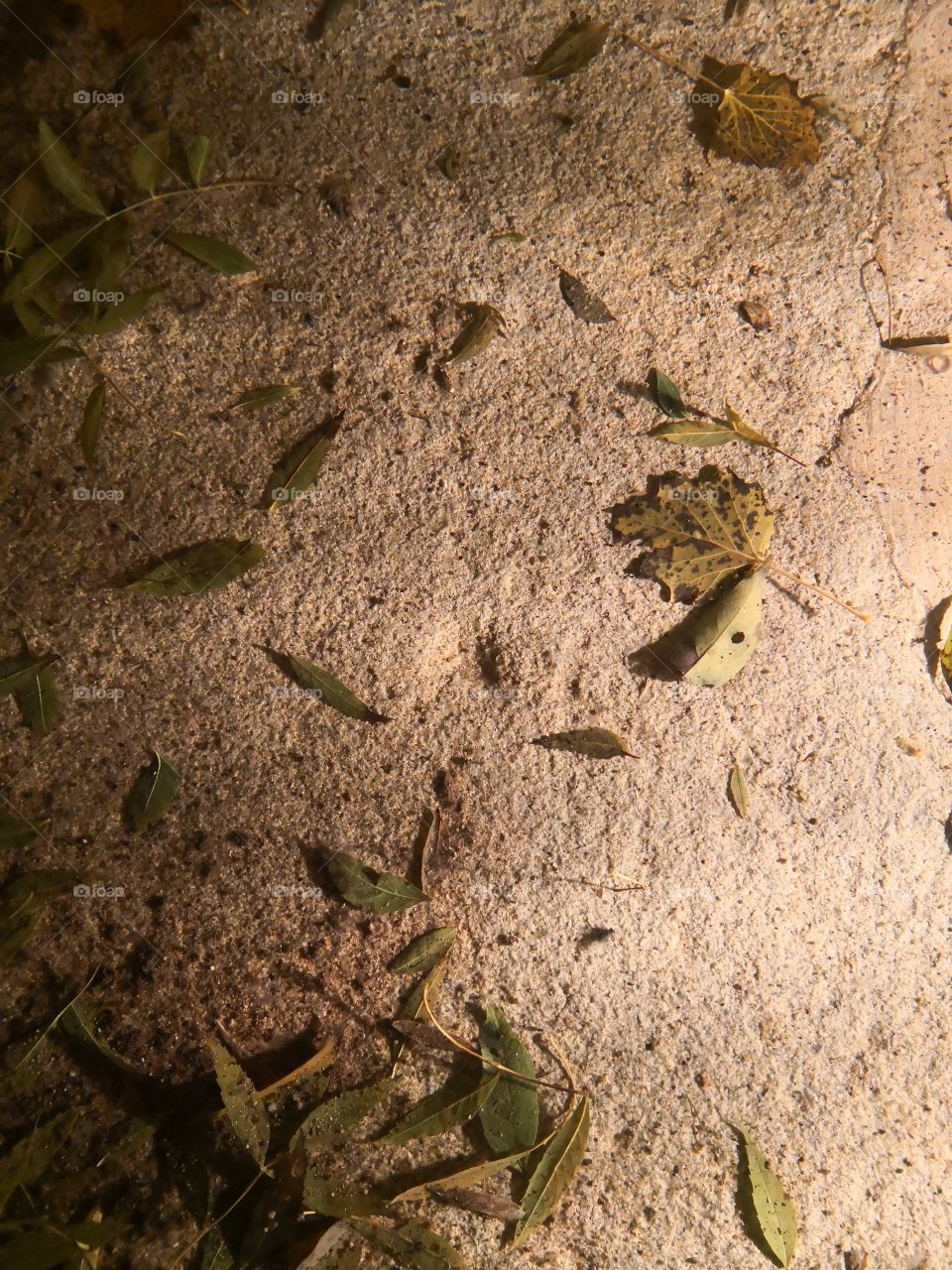 Martinho Fountain, Water, Night, Castelo de Vide, Portugal