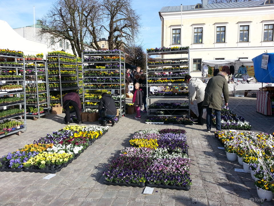 Market day
