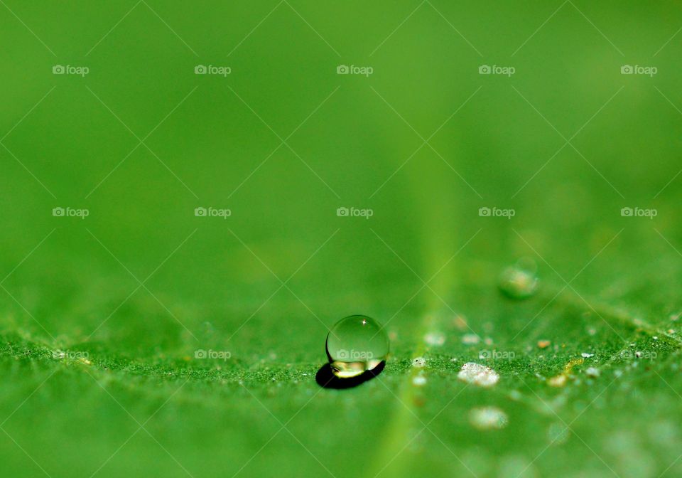 drops