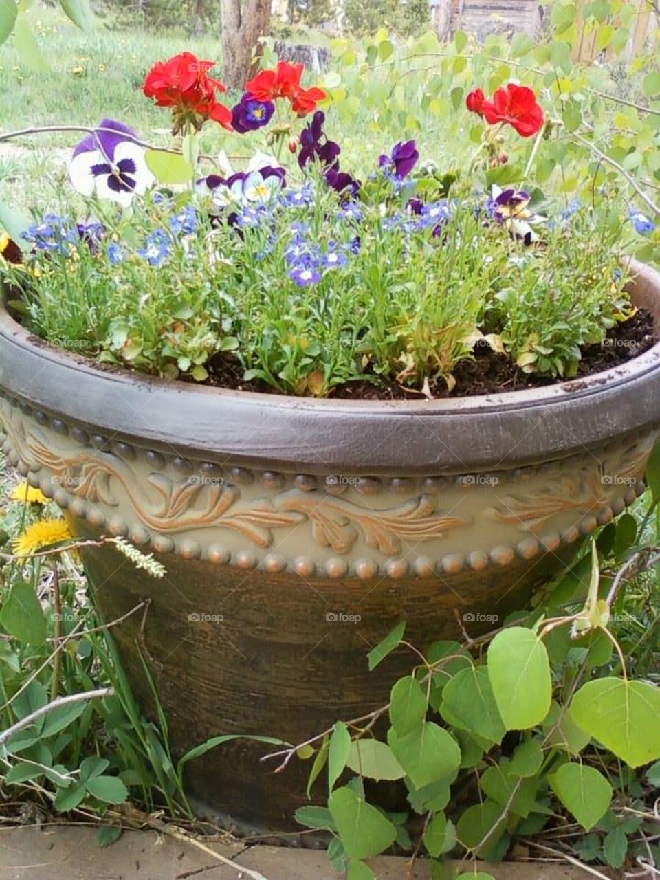 Bucket O' Flowers