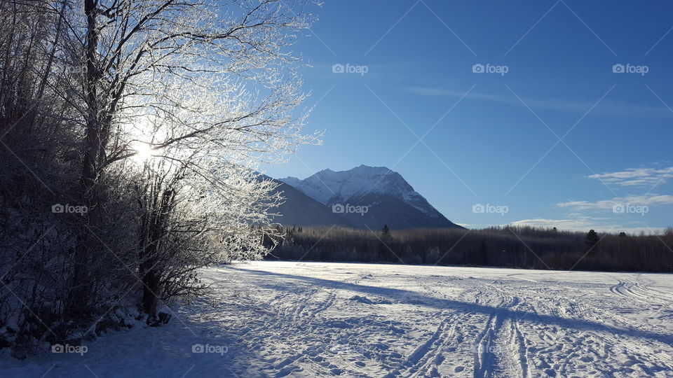 Snowy landscape in winter