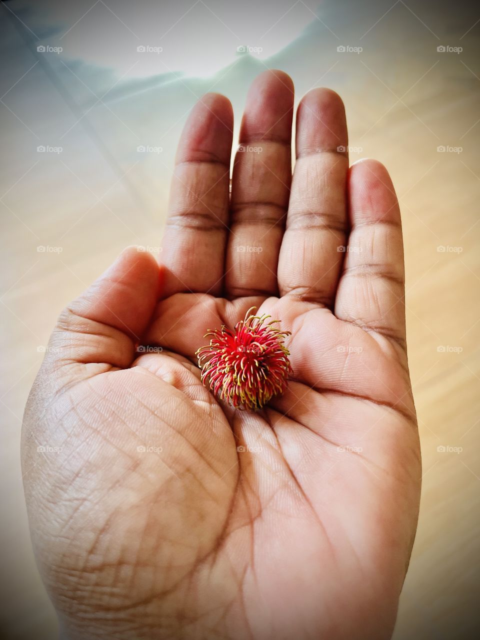 Tiny rambutan