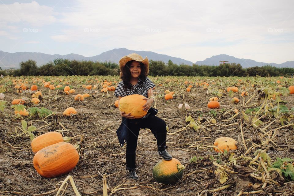 Harvest Season 