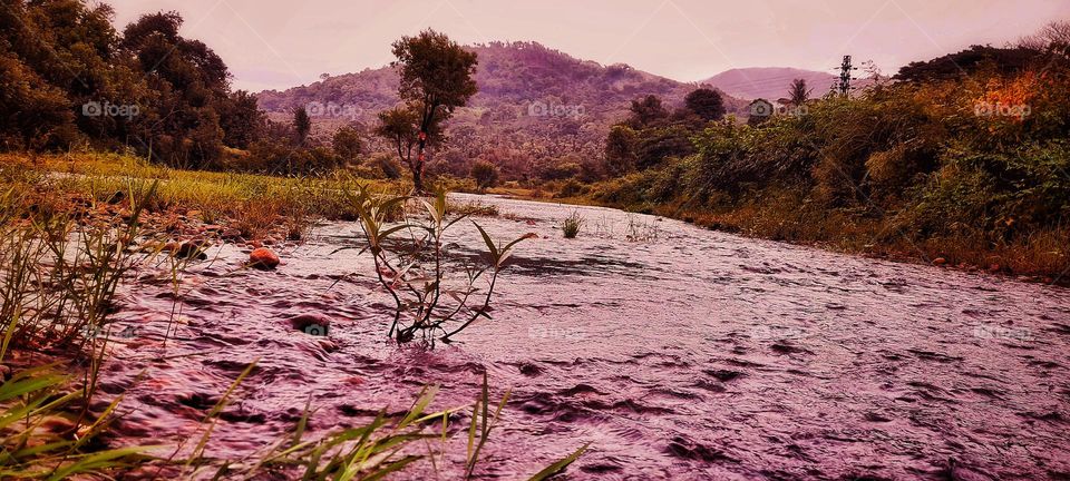 Wild beauty of nature. Captured from the middle of the mountain river with high tide. The river is not too deep.
