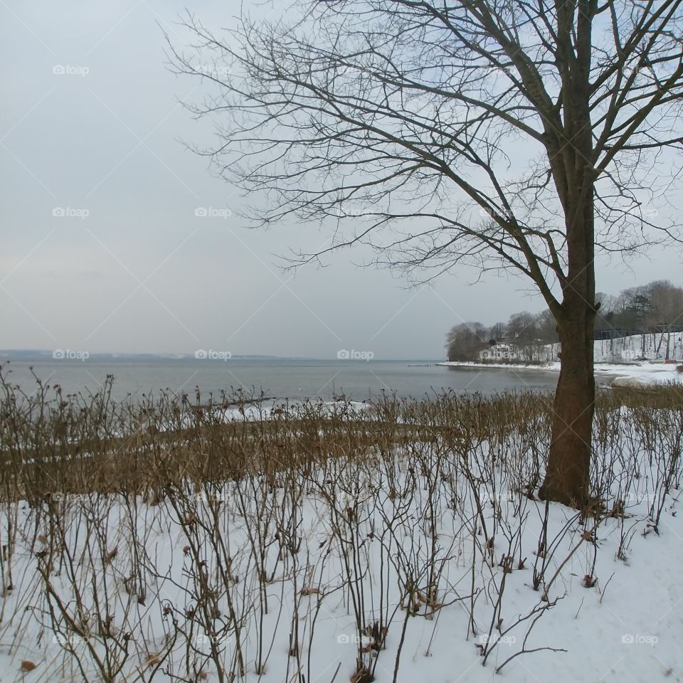 Strand Schnee Kalt Winter