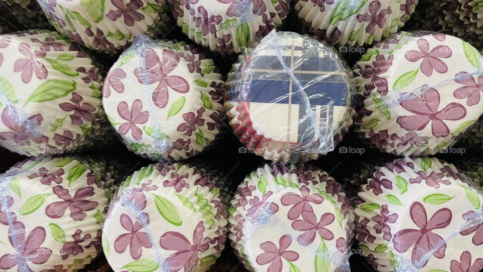 Geometry objects circle