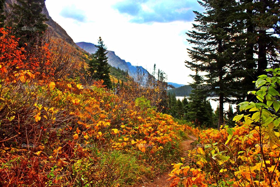 Autumn colors in the nature 