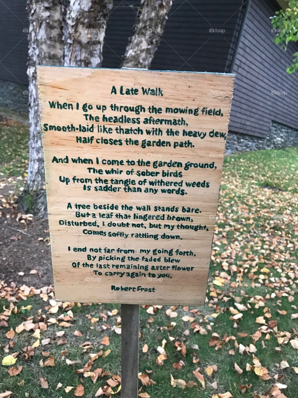Poem in woods