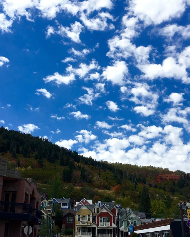 The hills