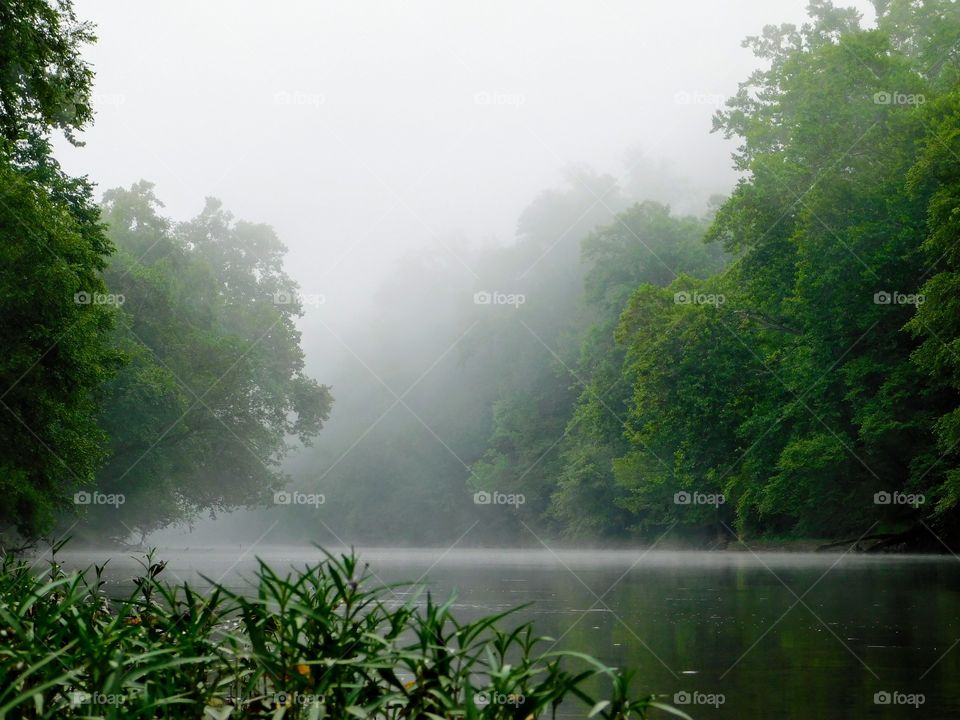 Foggy River