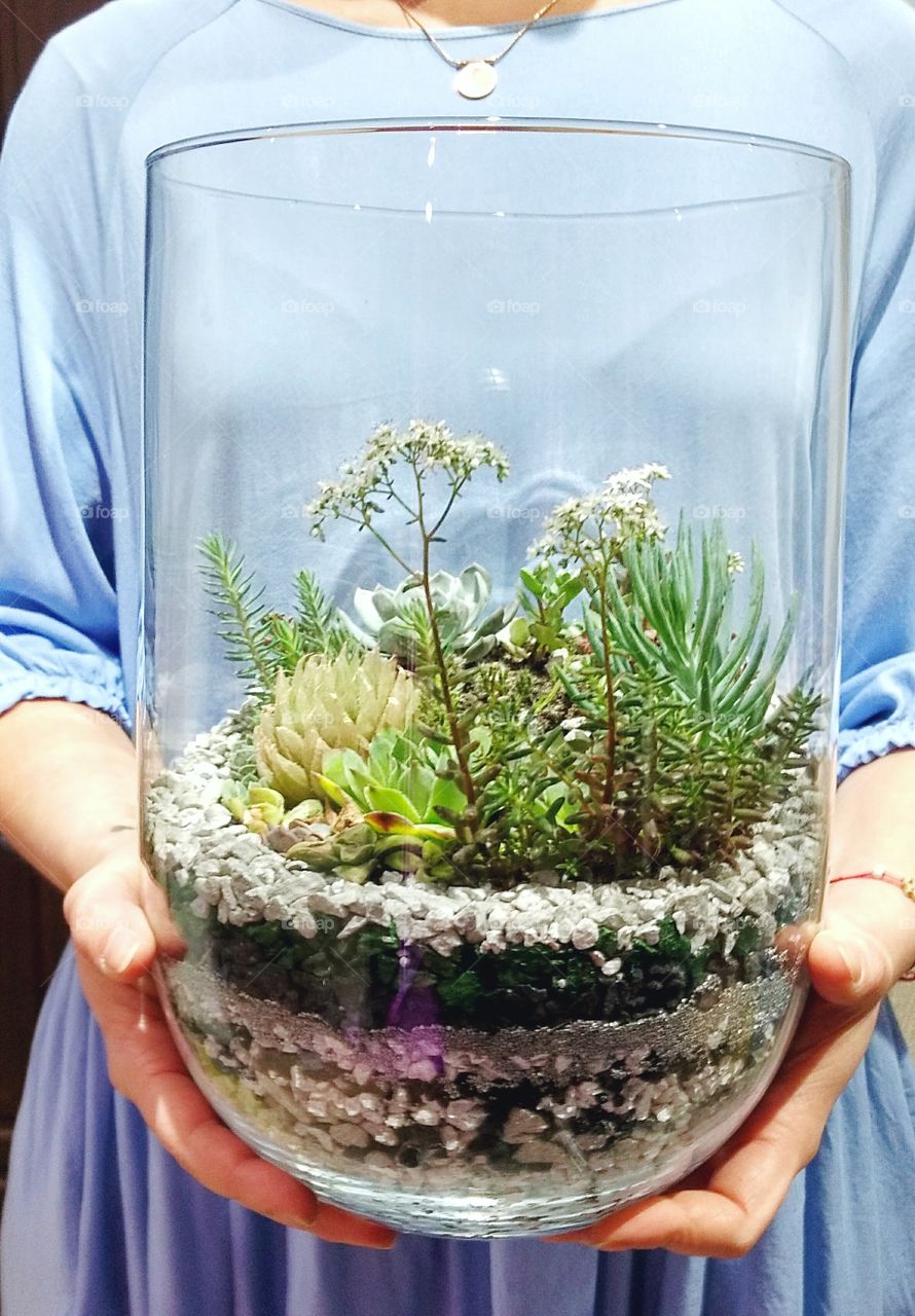 The succulent terrarium in large glass vase