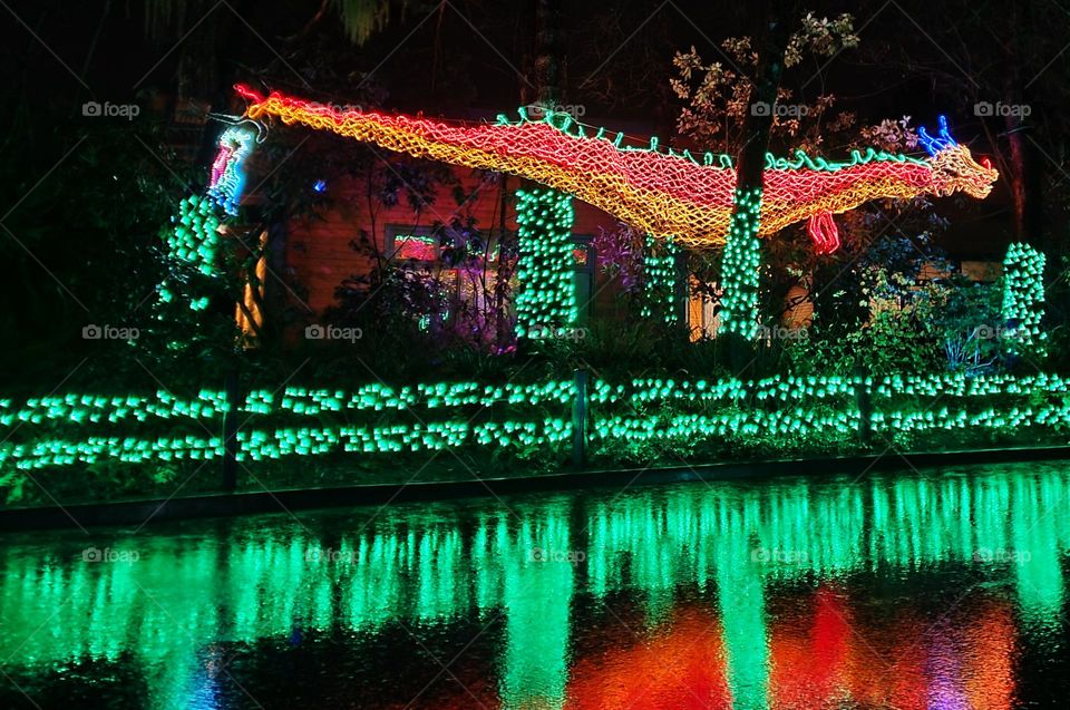 colorful red and green dragon light display reflecting on rain-soaked ground at night in Oregon Zoo