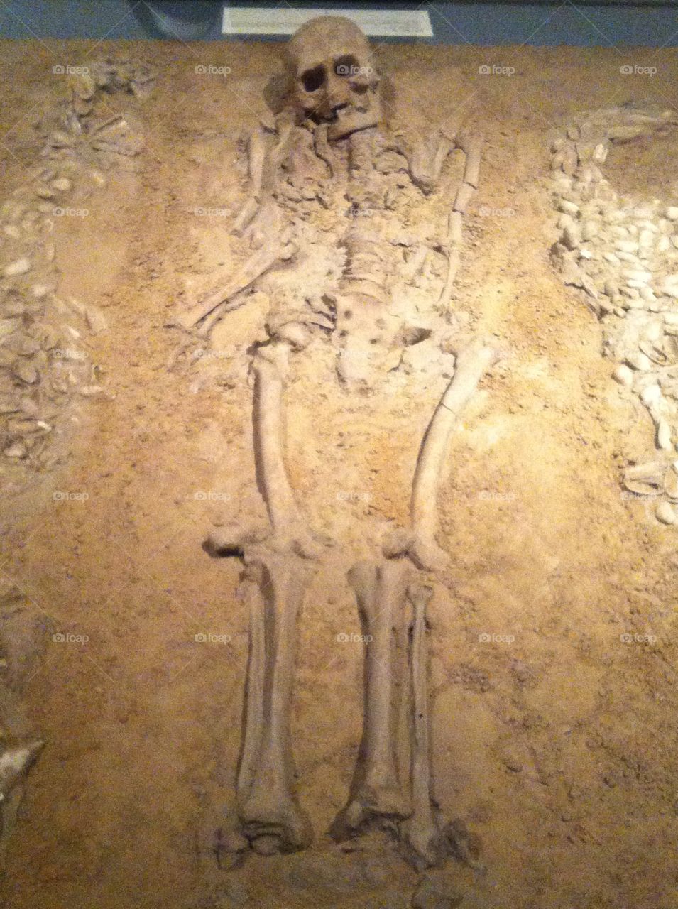 Ancient skeleton 