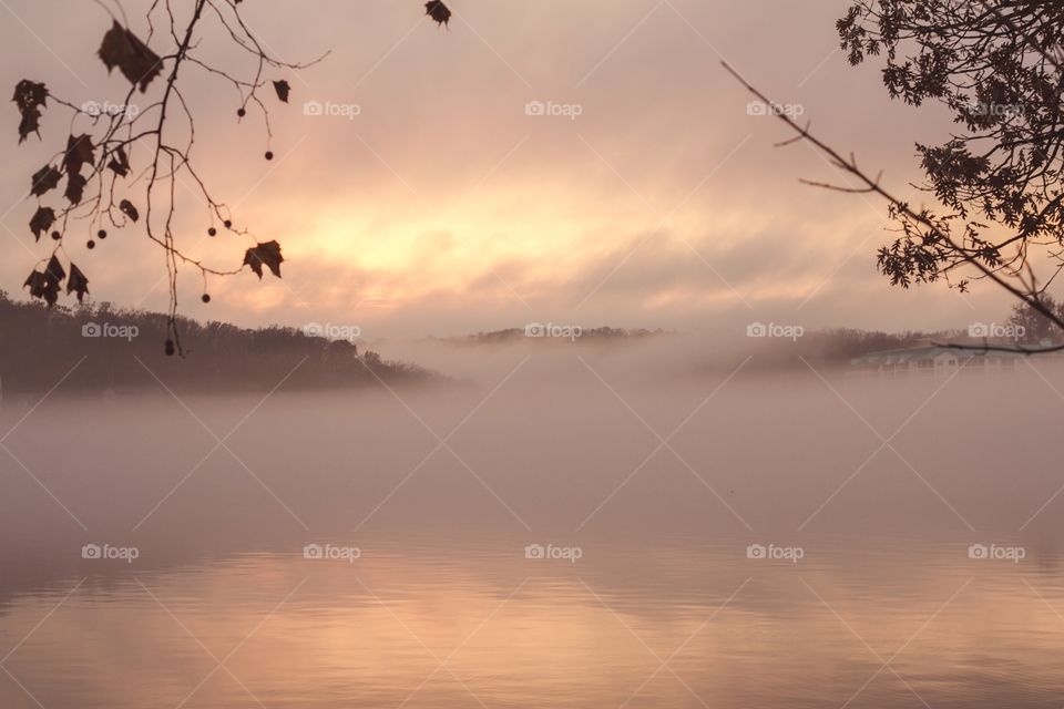 Scenic view of fog at lake