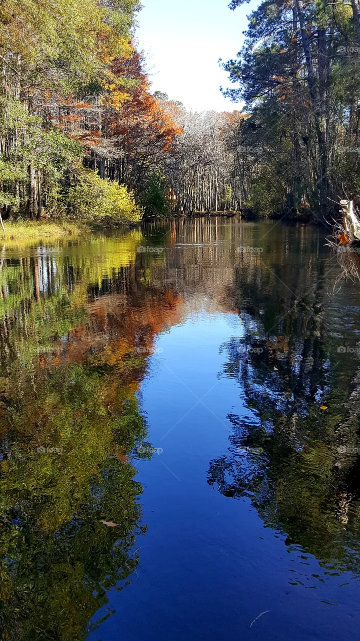 Lumber River State Park, NC