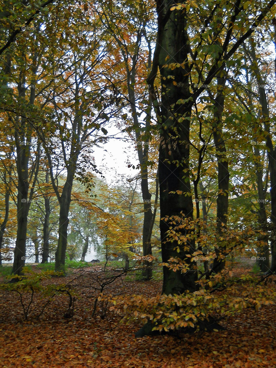 Pildammsparken Malmö Sweden