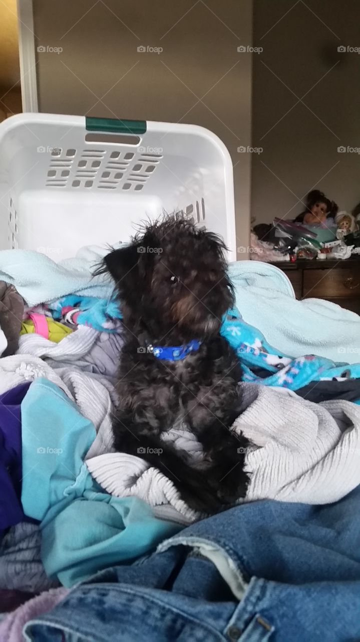 Just wanted to to help