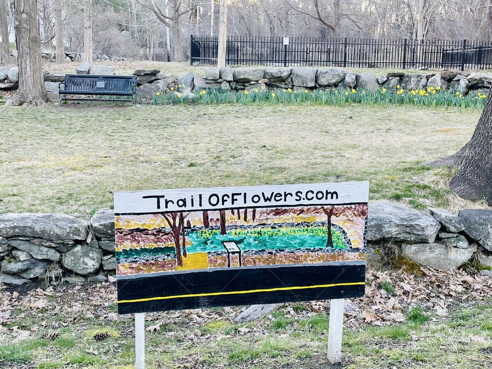 The "Trail of Flowers" along Acton's Assabet River Rail Trail features vibrant daffodils planted to brighten the path, adding color and beauty. The cheerful flowers enhance the trail, creating a scenic and inviting atmosphere for visitors.