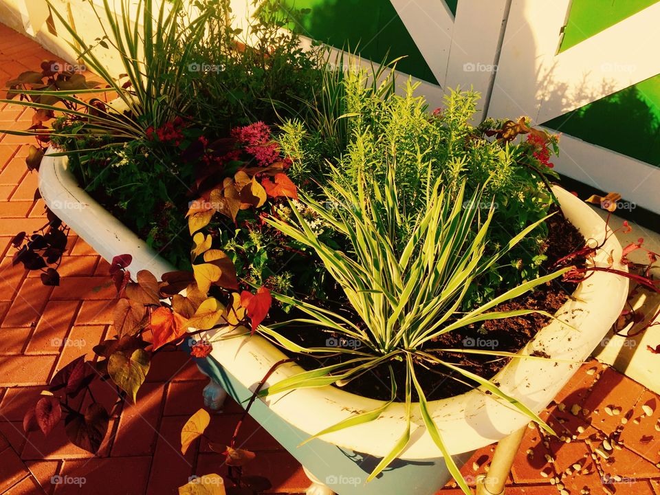 Plant tub