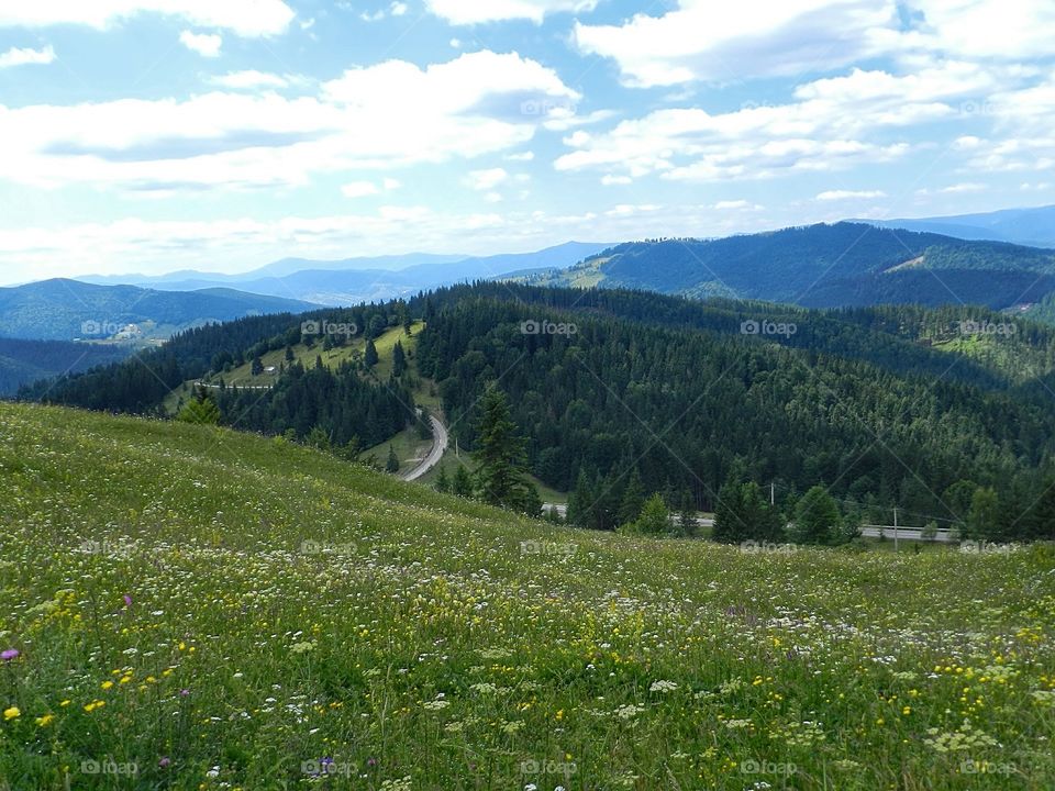 Travelling to Bucovina