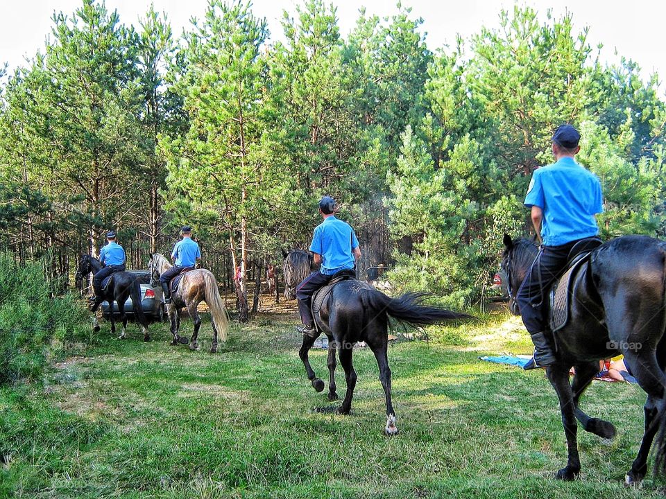 Mounted police in the forest