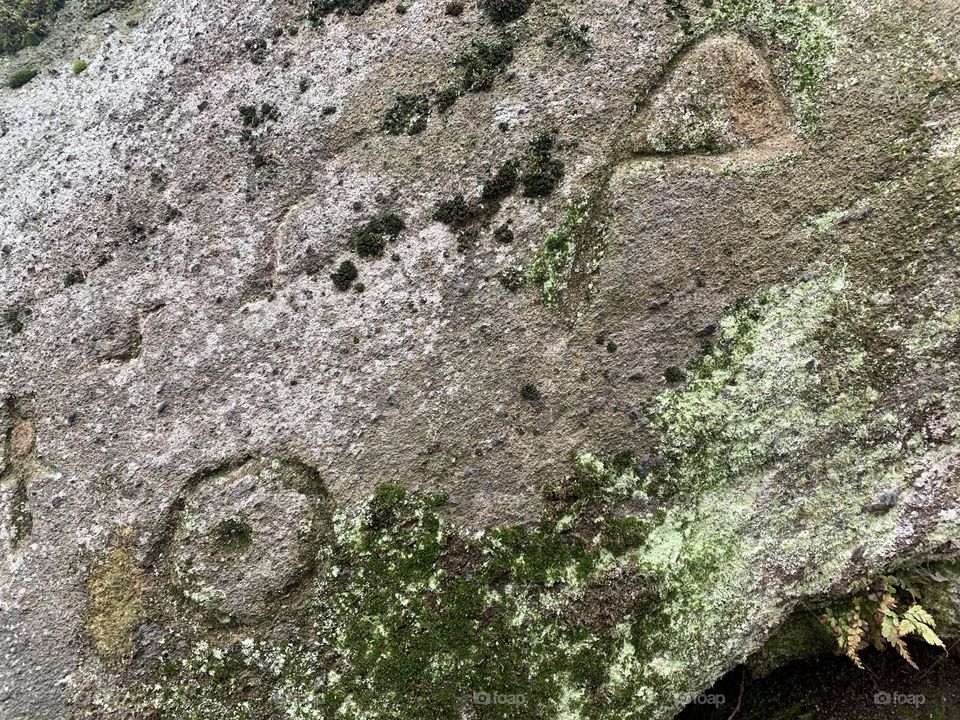 Rock engravings dating back to the Golasecca culture, from the Iron Age, 9th-4th century BC