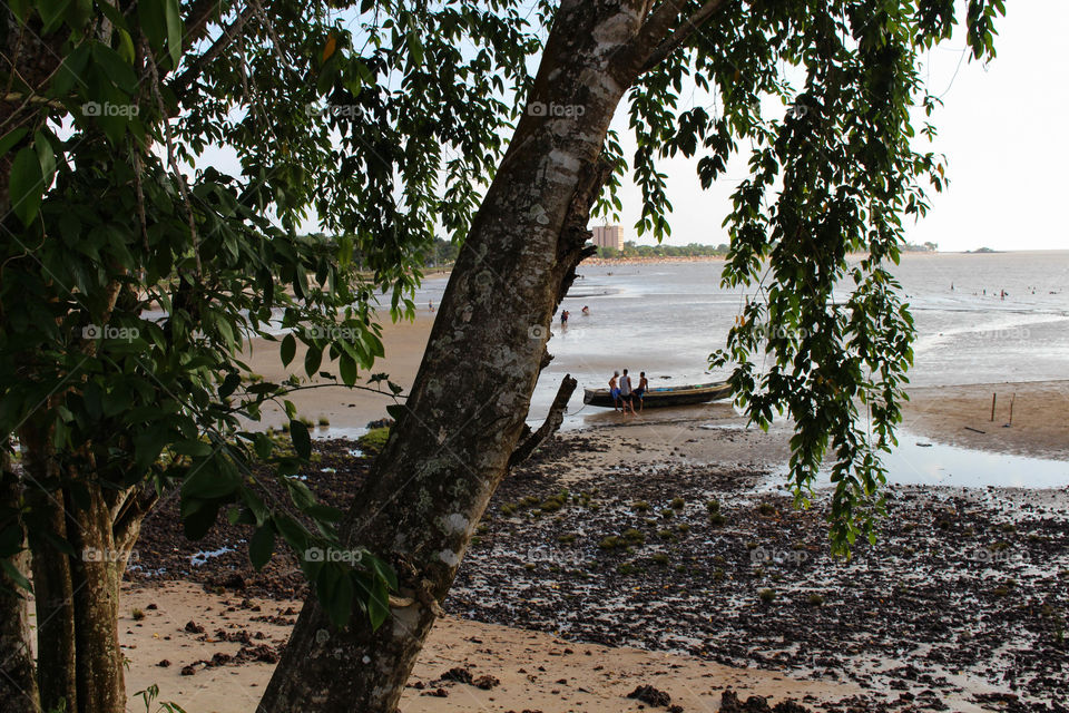 Amazon Beach