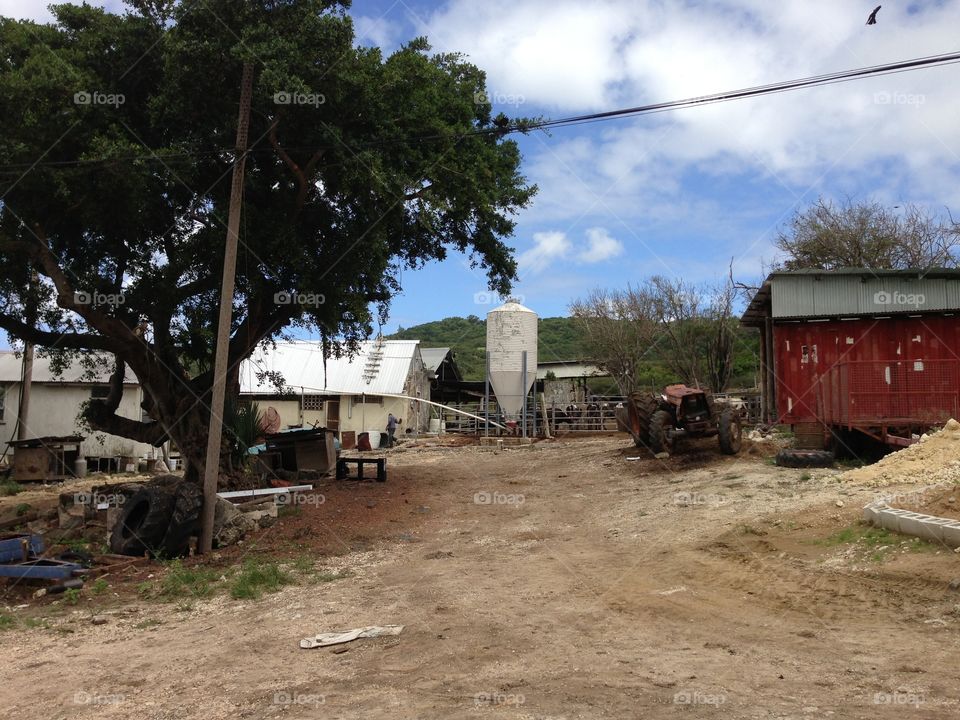 Barbados farm