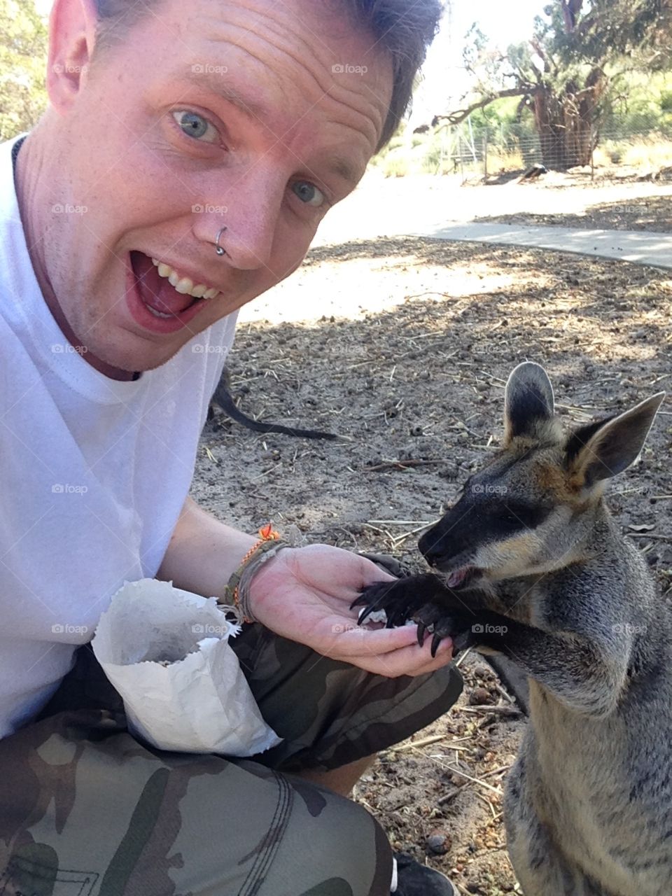 Roo. Feeding popcorn to kangaroo. 