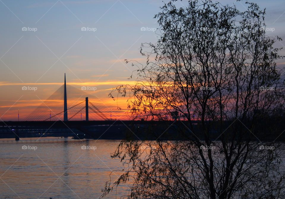 A view through the branches of a tree to a river with bridges and magical winter sunset