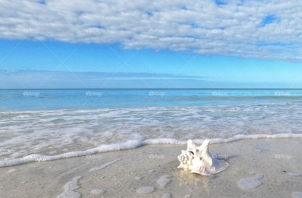 Beach day 