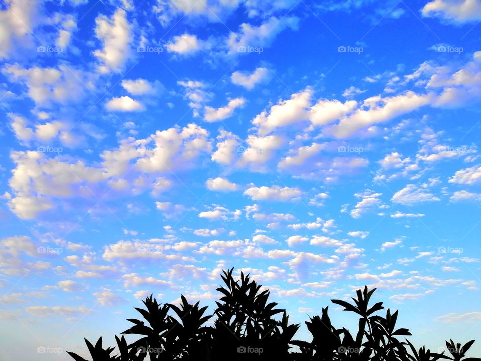 Hello
Please like my pictures and follow me
Thank you
Sky Clouds Blue