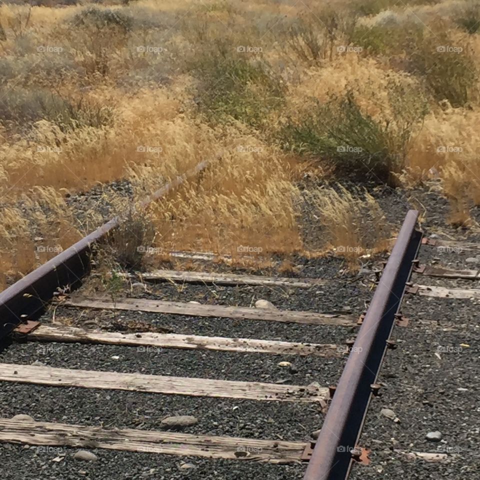 Abandoned Rails Series
