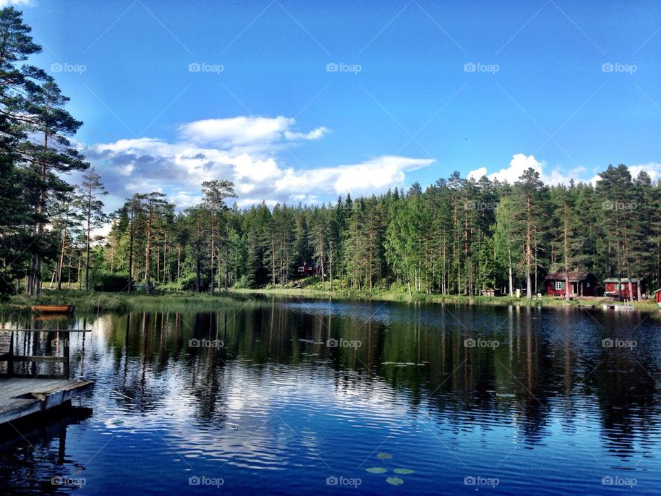 Scenic view of lake and trees