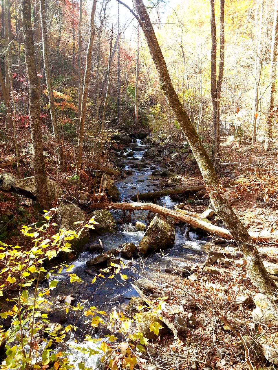 Hiking in southwestern Virginia