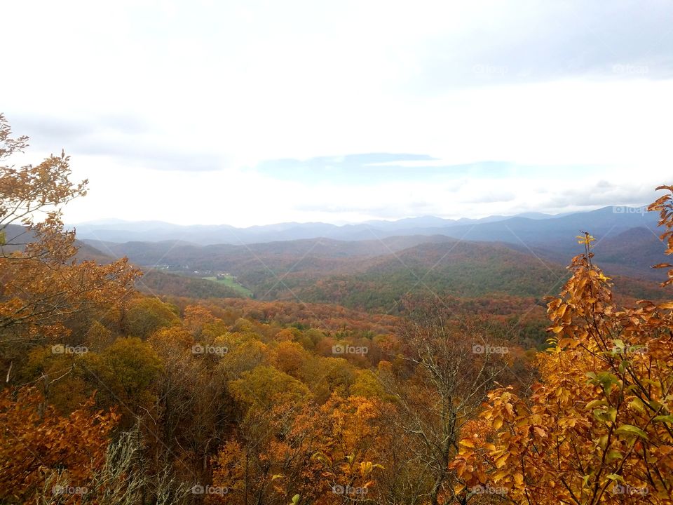 Fall in North georgia