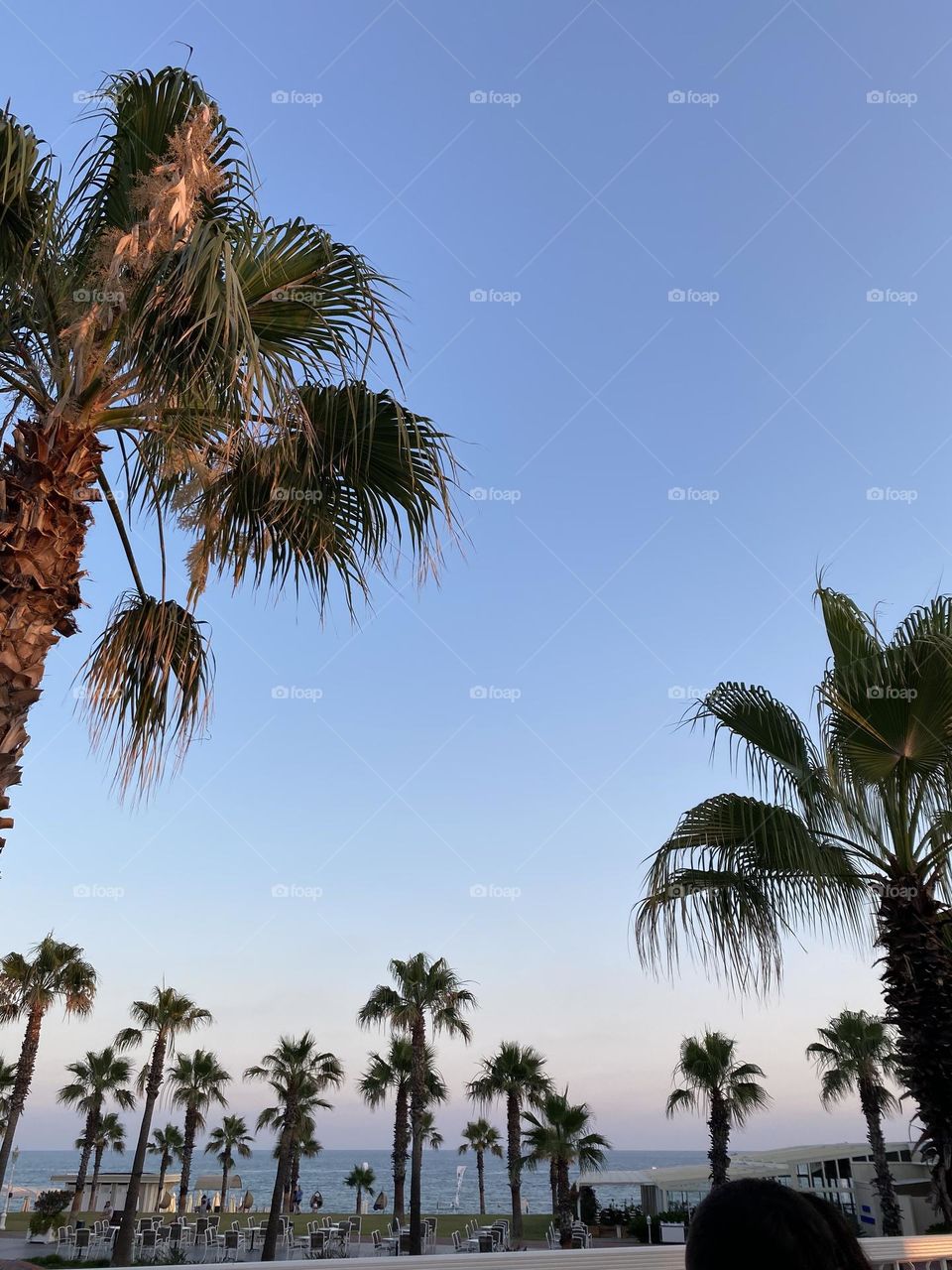 Palm trees and sand. this pic is perfect for summer wallpaper and motivates you for good vacation by the beach 