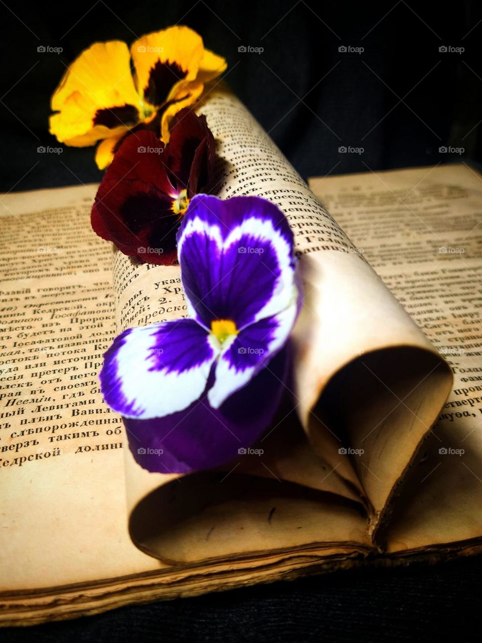 Flowers. An open book, the pages of which are folded in the shape of a heart. At the junction of the sheets are three forget-me-not flowers: white-violet, burgundy and yellow