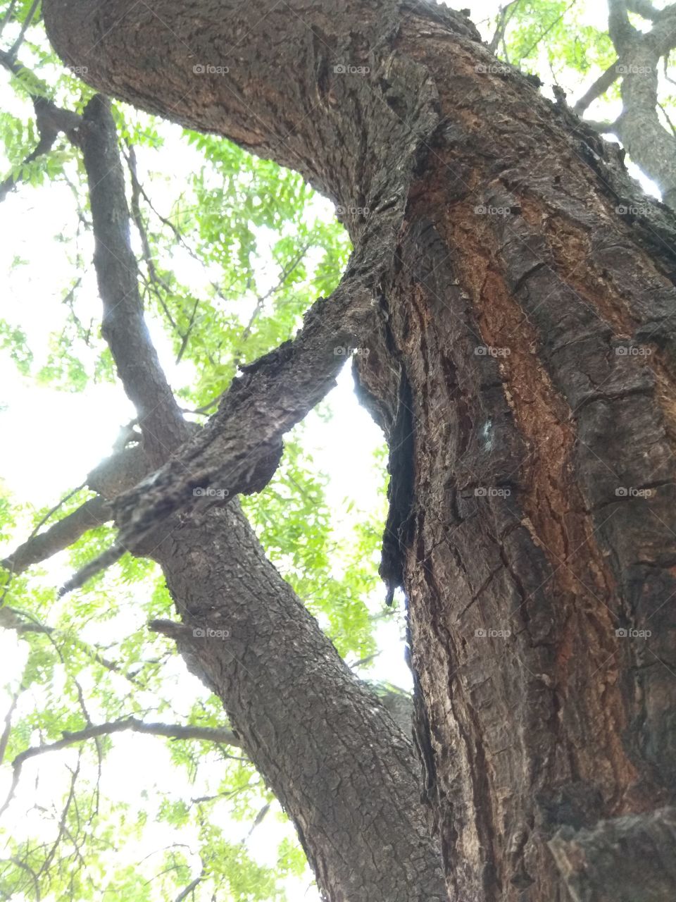 i don't know about this but I like it