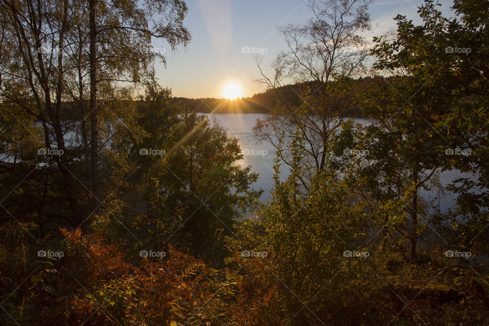 View of lake in forest during sunset