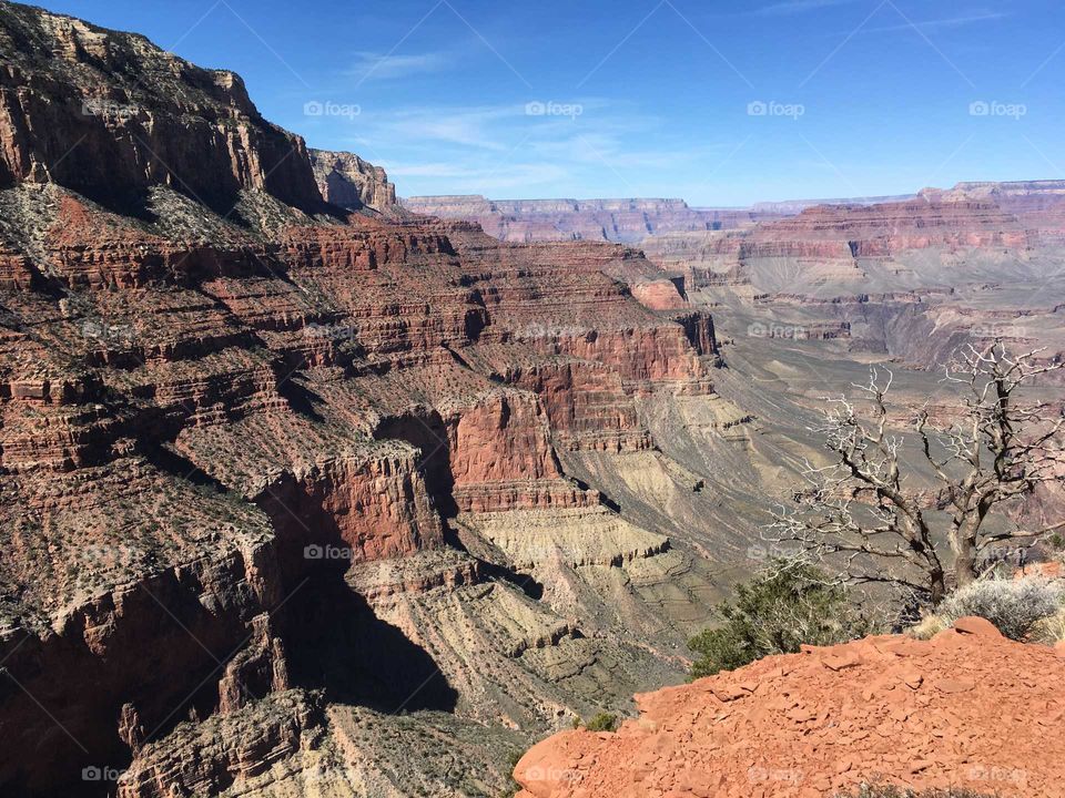 Looking out over the Grand Canyon