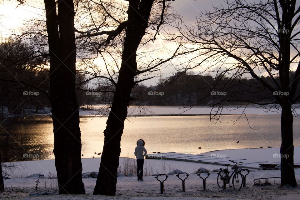 Winter in Stockholm Sweden 