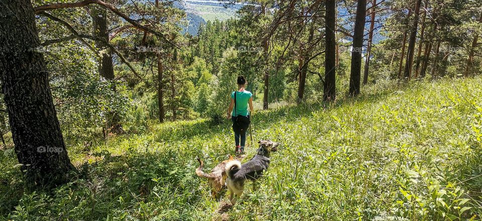 Walking with dogs