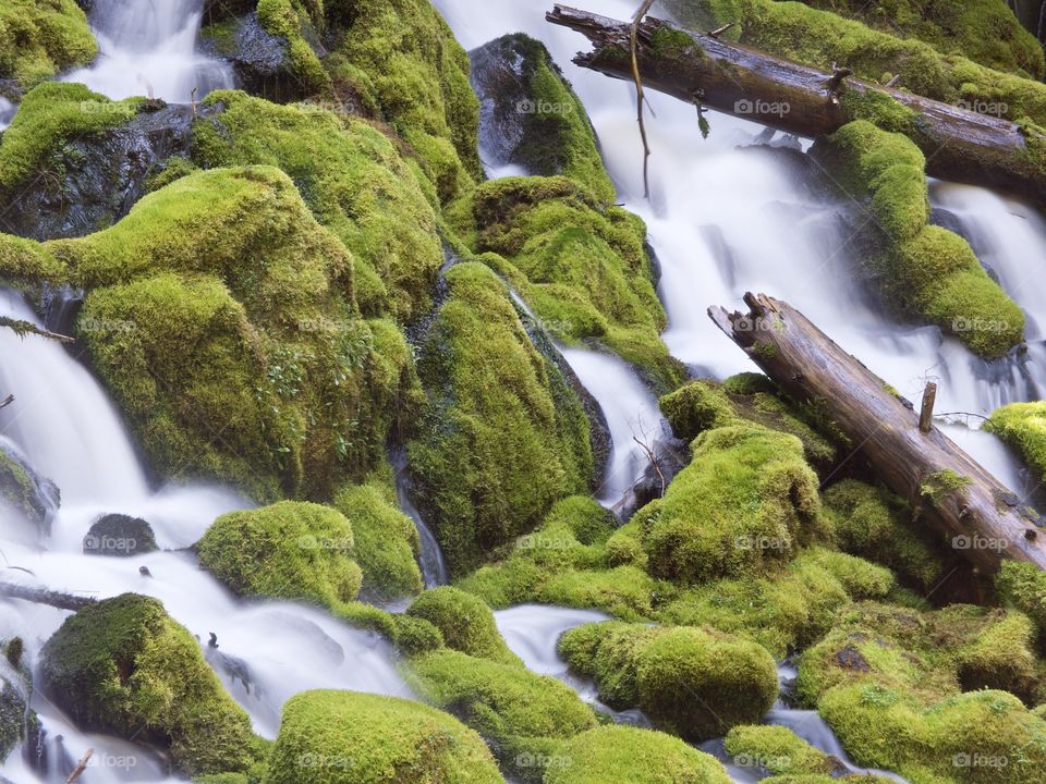 The mountain cold and fresh waters of Clearwater Falls rushing over moss covered rocks and slick wet logs on a sunny spring morning in Southwestern Oregon. 