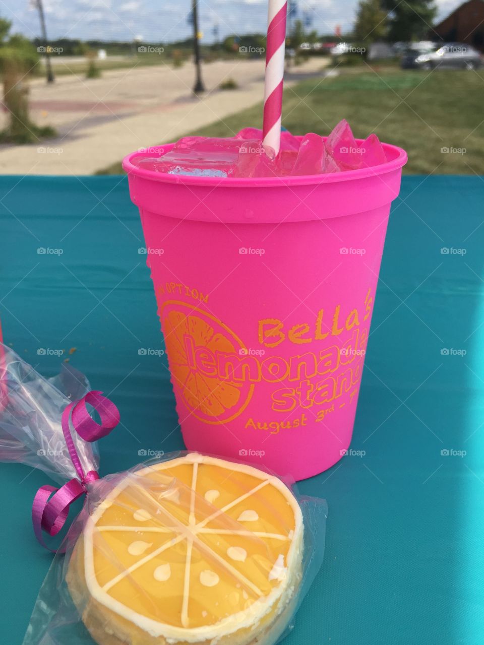 Lemonade Fundraiser