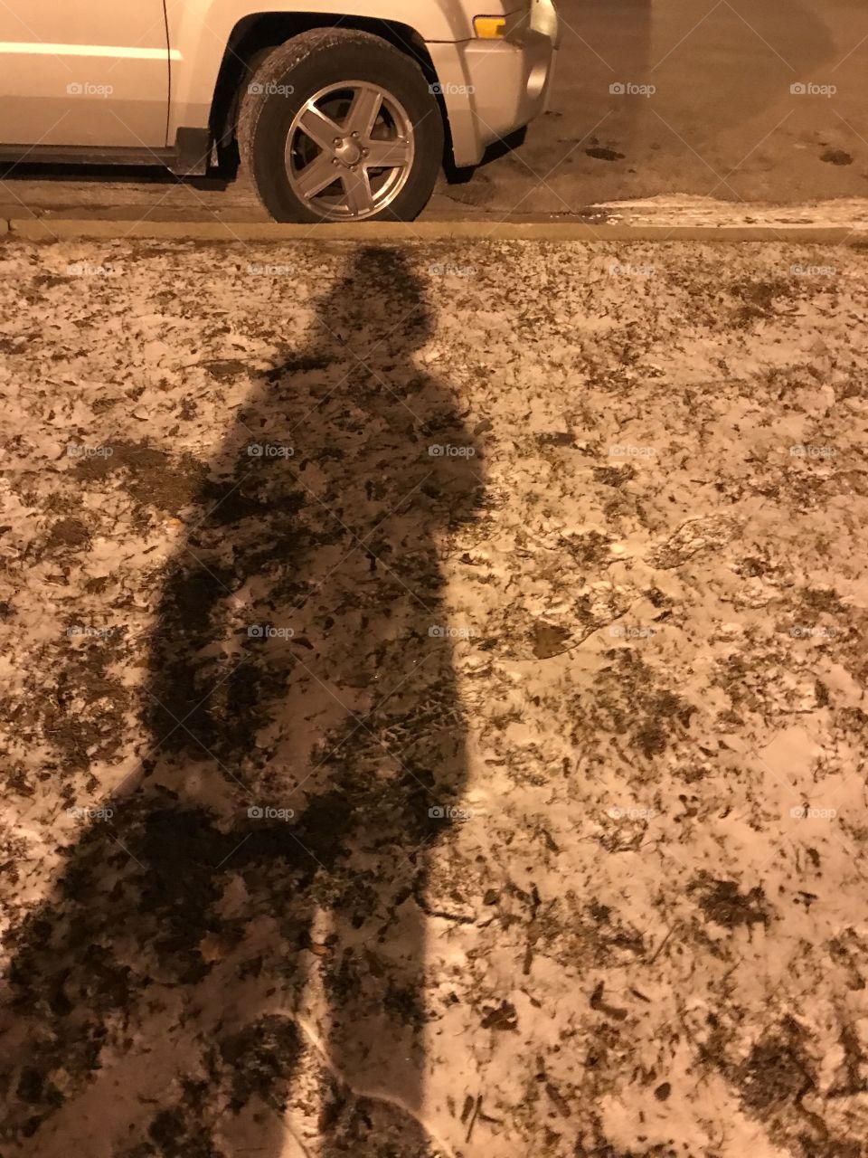 A snowy shadow